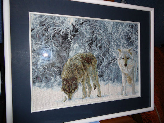 Работа «Волки»