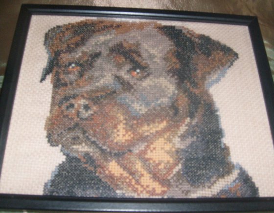 Работа «Ротвейлер»