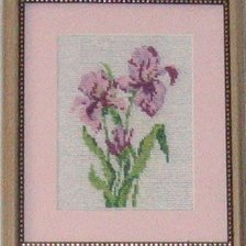 Работа «ирисы»