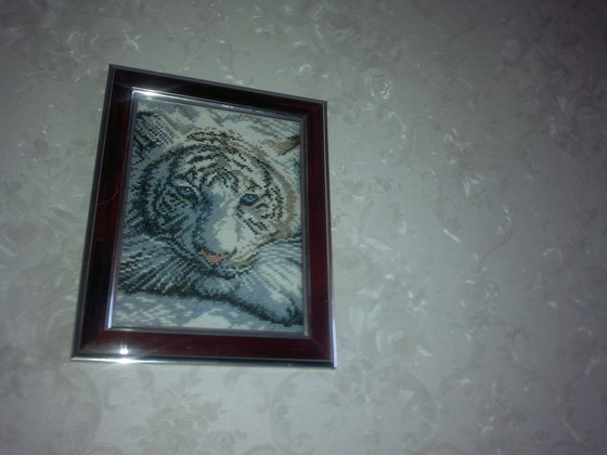 Работа «тигр белый»