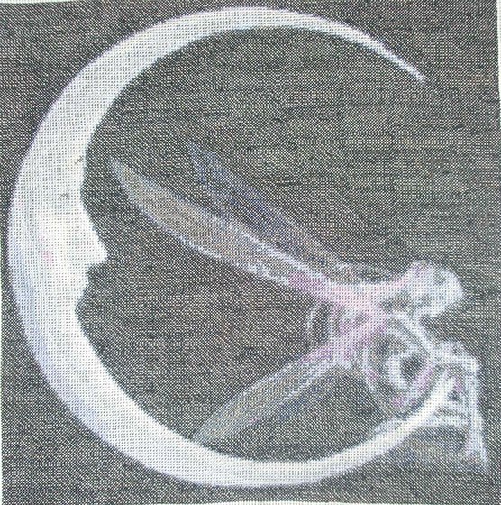 Работа «фея на луне»