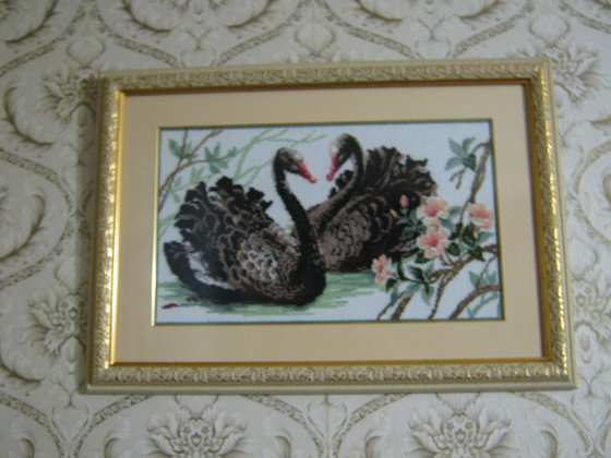 Работа «черные лебеди от риолиса»