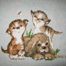 Работа «веселая компания-риолис»