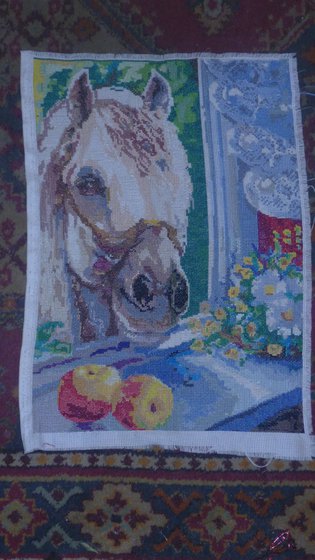 Работа «Любопытный сосед.»