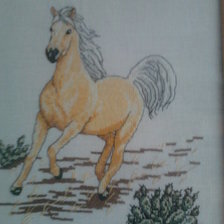 Работа «Лошадь 2»