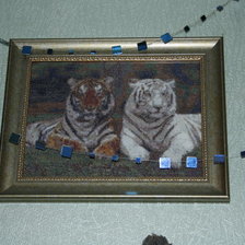 Работа «тигры»