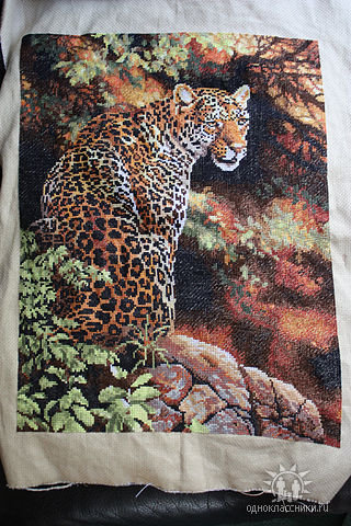 Работа «leopard»