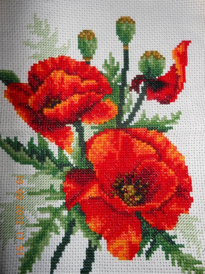 Работа «Маки»