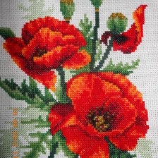 Работа «Маки»