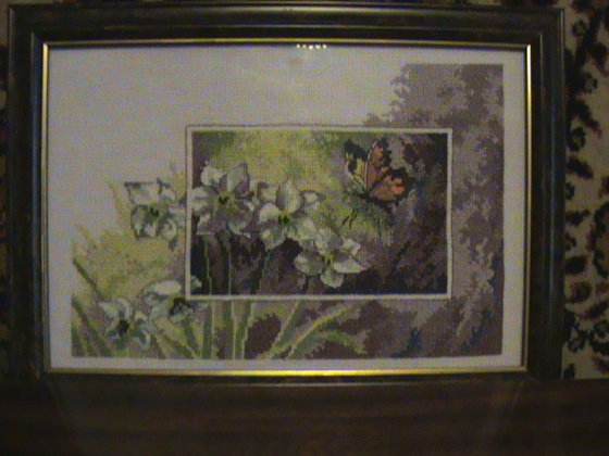 Работа «нарцыссы»