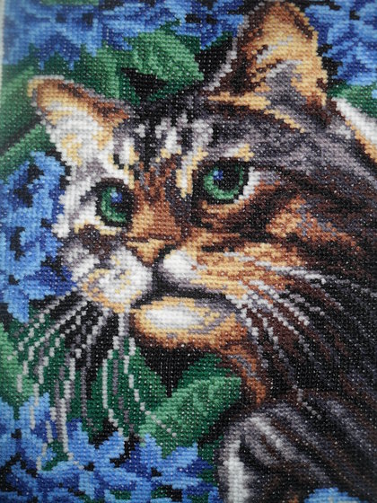 Работа «Кот в цветах»