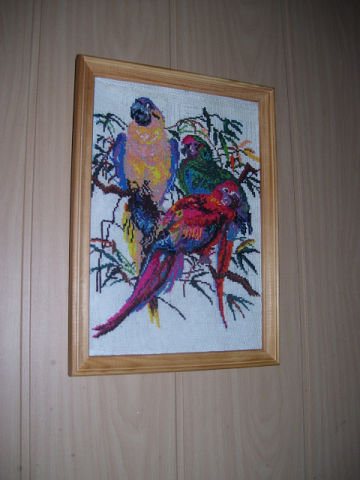 Работа «Попугаи»