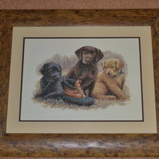 Работа «Щеночки»