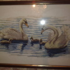 Работа «Лебединое озеро»