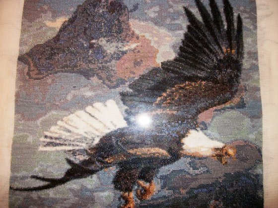 Работа «Орлан»