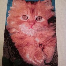 Работа «котофей»