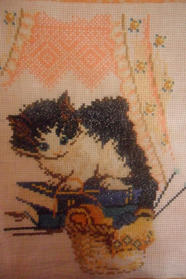 Работа «Котик»