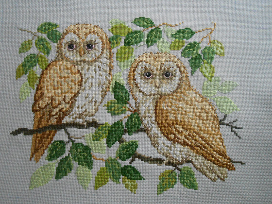 Работа «"Пернатые друзья"»