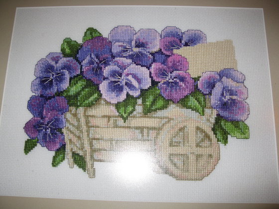 Работа «fialki»