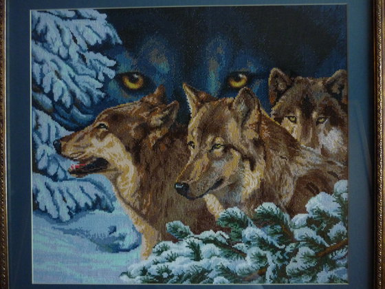 Работа «Волчий взгляд»