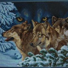 Работа «Волчий взгляд»