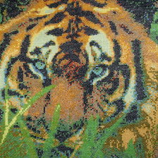 Работа «тигр №2»