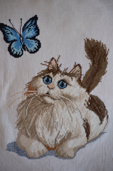 Работа «котик и бабочка»