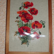 Работа «Маки. Риолис.»