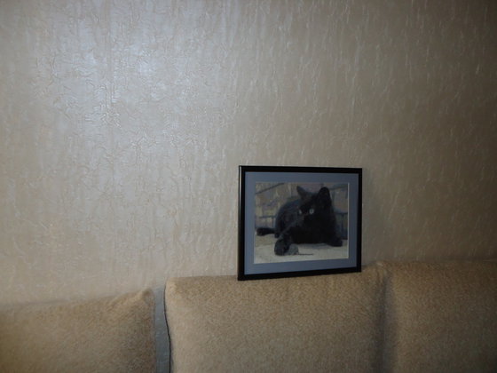 Работа «черный кот с мышкой»