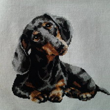 Работа «Такса»