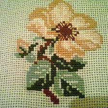 Работа «Шиповник (Риолис)»