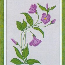 Работа «Barvinok»