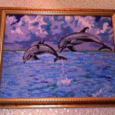 Работа «delfini»