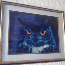 Работа «Сова в ночи»