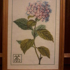 Работа «№3557»