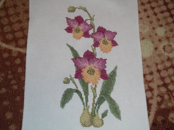 Работа «орхидеи»