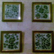 Работа «Зимние узоры»