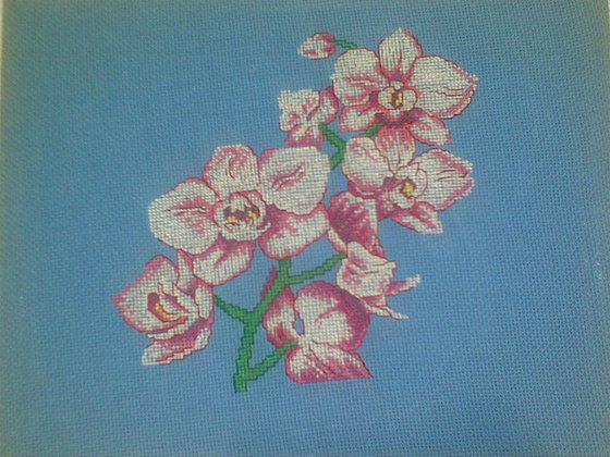 Работа «Орхидея»