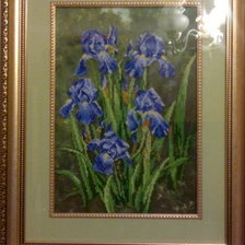 Работа «Ирисы»