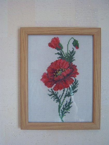 Работа «Красный мак»