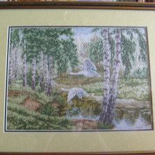 Работа «дикие утки»