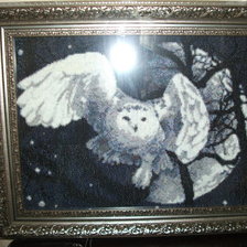 Работа «"Ночной полет"»