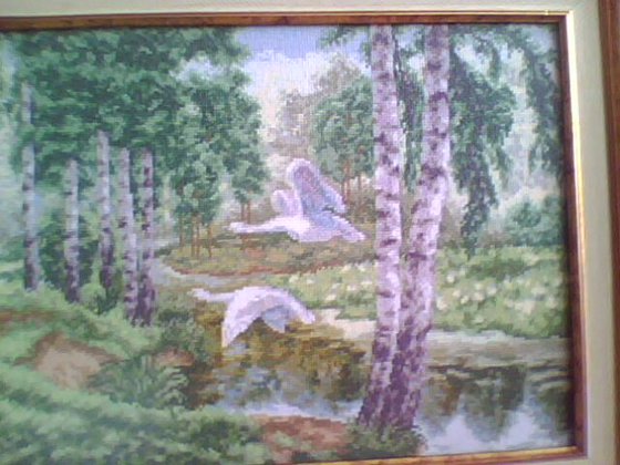 Работа «дикие лебеди»