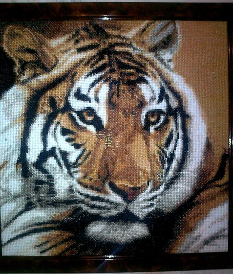 Работа «большая кошка»