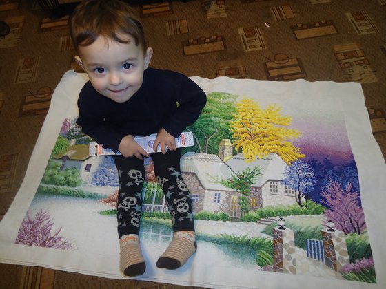 Работа «Доми на озере. Примерный размер картины))»