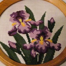 Работа «ирисы»