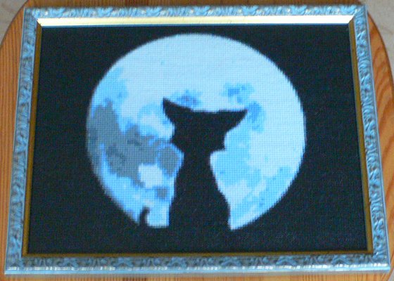 Работа «Кот»