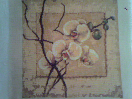 Работа «№5173»