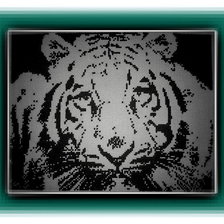 Работа «Название картины - "ВЗГЛЯД ХИЩНИКА".»