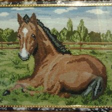 Работа «Лошадь на отдыхе»